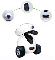 Certification CE Jouet pour chien intelligent avec caméra App Control Cat Laser Robot automatique avec fonction de vision nocturne Jouet