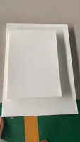 Feuilles de feutre polyester A4 vierges, non coupées, imperméables, écologiques et de haute qualité pour sublimation, pour désodorisants de voiture suspendus