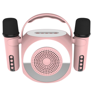 Vente en gros de haut-parleurs portables sans fil avec deux microphones et lumière RVB Boîte à musique Mini haut-parleur supportant la carte TF - Product Image 6