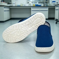 Sepatu Kerja Anti Statis ESD, Model Rendah, Kanvas, Sol SPU, Dapat Dicuci, Untuk Ruang Bersih dan Industri