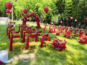 Modern Design Stackable Metal Dining <strong>Chairs</strong> for Restaurant Hotel Party Wedding for Outdoor Apartment Use Wholesale Luxury <strong>Chairs</strong> - Product Image 4