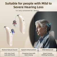 Alat Bantu Dengar Digital Isi Ulang Flysound China Grosir, Pemasangan Sendiri dengan Masking Tinnitus untuk Gangguan Pendengaran