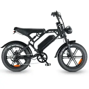 모터 Ebike 강력한 산 전기 먼지 자전거 팻 타이어 전기 자전거 공장 직접 20 인치 48V 1000W 스틸 리어 허브 모터