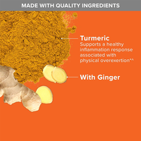 Complément en capsules de 2400 mg d'extrait de curcuma et de poudre de gingembre, marque privée OEM, pour le soutien du confort articulaire (vente en gros)