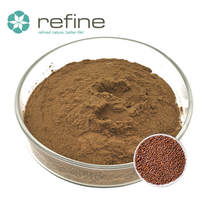 Suplemento Natural de Alta Calidad, Extracto de Semilla de Rábano 10:1, Extracto de Semilla de Rábano en Polvo Soluble en Agua - Product Image 1