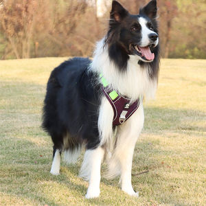 犬用ハーネス無し引き調節可能ソフトパッド反射オックスフォードノーチョークペットベスト - Product Image 4