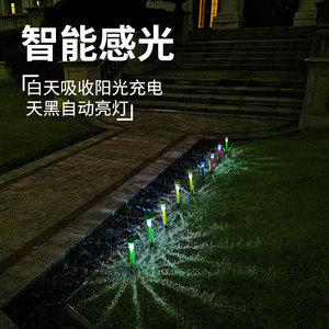 Luces Solares para Jardín Hejia, Luces LED Coloridas para Exteriores, Decoración para Patio y Jardín, 4 Colores Disponibles - Product Image 4