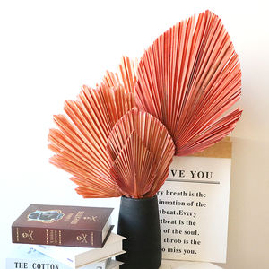 Yunnan all'ingrosso varie forme stili diversi palme secche naturali <span class=keywords><strong>foglie</strong></span> palme - Product Image 3