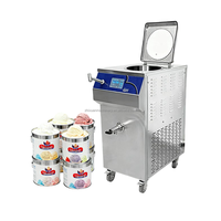 Pasteurisateur automatique de 32L/62L pour œufs liquides, bière, produits laitiers, miel, lait, gelato, homogénéisateur, machine de pasteurisation