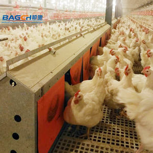 Nido Automático para Gallinas Ponedoras con Sistema de Recolección de Huevos, Gran Oferta - Product Image 4