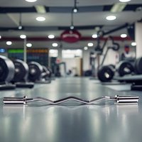 Pesas libres Gimnasio Ejercicio Cojinete Barbell Transfronterizo para barra Barra recta del fabricante Barra curva para prensa de banco