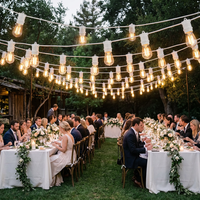 10 ampoules Heavy Duty Drop Festoon String Lights câble de rallonge d'alimentation avec longueur personnalisée intérieur ou extérieur utilisé