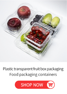 Thức ăn nhanh xách tay món tráng miệng rõ ràng nhà máy tùy chỉnh Takeaway với nắp hộp đựng thức ăn bền Pet trái cây rau xà lách hộp - Product Image 6