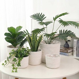 Panier de jardinage tressé nordique avec doublure en plastique, couvercle de <span class=keywords><strong>pot</strong></span> de fleurs en corde de coton étanche pour plantes d'intérieur et rangement du linge - Product Image 1