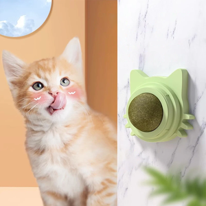 Zenidoo Funny Lickable Eco-Friendly Plastic Catnip Wall <b>Toys</b> for Small <b>Cats</b> Indoor Playing Chewing Teeth Cleaning - Product Image 3