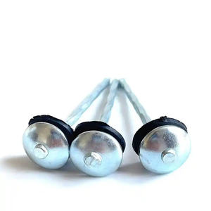 Clavo <span class=keywords><strong>de</strong></span> calamina, clavos corrugados 1 <span class=keywords><strong>Kilo</strong></span> 20 bolsas <span class=keywords><strong>Precio</strong></span>, 2,5 "* BWG9 Clavos para techos - Product Image 1