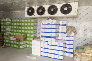 Cámara Frigorífica para Cebollas, Sistema de Refrigeración para Cámaras Frigoríficas, Puerta de Refrigeración para Verduras - Product Image 5