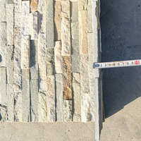 Panneaux de revêtement mural extérieur en pierre naturelle empilée, modernes et anti-acide, les plus vendus