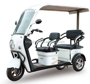 2020 새로운 전기 익스프레스 Tricycle 48V 800W // 전기 인력거 카고 /// 화물과 여객 세발