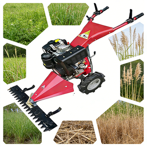 Tondeuse autoportée de jardin 212cc essence, largeur de coupe 80-120cm, hauteur de coupe 1-8cm pour pelouse de parc - Product Image 1