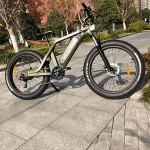 强力铝合金Ebike 26英寸胖轮胎电动自行车250W 750W 36V 48v电动自行车