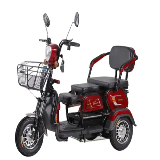 Customer Needs Adult Tricycle 3 Wheel Electric Tricycle for Adults Electric Tricycles Transportation for Work