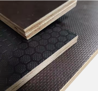 Contrachapado de 4x8 pies y 18 mm con película de seguridad antideslizante, pegamento fenólico negro, encofrado para construcción de hormigón