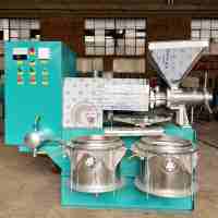 Presse à huile industrielle à double vis à froid de grande capacité pour maïs, neem, arachide, sésame, palme, noix de coco, pour le Ghana