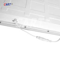 Panneau lumineux LED diffuseur PS de haute qualité 60x120 RGB/RGB+W/RGB+CCT Grande taille 600x1200 Panneau éclairé par les bords et rétroéclairé