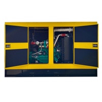 Groupe électrogène silencieux au gaz 100-200 kW à livraison rapide, biogaz, GPL, gaz naturel, 50 Hz/60 Hz, 125-250 kVA