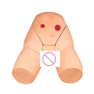 Manichino per Cateterizzazione <span class=keywords><strong>Femminile</strong></span>, Modello di Addestramento per Cateterizzazione Uretrale - Product Image 2
