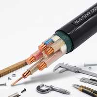 Cable de Alimentación NYY-O con Conductor de Cobre, PVC/PVC, Estándar Alemán VDE 0.6/1kV, Unipolar/Multifilar, para Proyectos de Instalación en Edificios Europeos