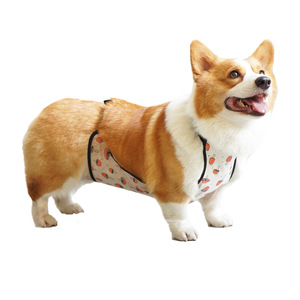Ceinture ventrale pour chien, anti-poussière, chaude, pour grands chiens, quatre saisons, style mignon - Product Image 5