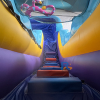 Toboggan aquatique gonflable en PVC avec antenne, double piste, installation facile pour usage commercial extérieur, location et fêtes