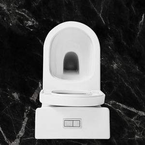 ชุดสุขภัณฑ์เซรามิกแบบสองชิ้น พร้อมระบบ P-Trap แบบฝังผนัง ไม่มีขอบ รุ่น Roughing-In - Product Image 4