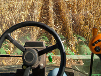 Moissonneuse-batteuse agricole GE40 sur roues, haute efficacité, pour la récolte du blé et du soja sur terres arides