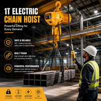 Palans à chaîne électriques triphasés 380V de 1 tonne à prix d'usine pour entrepôt et ligne de production