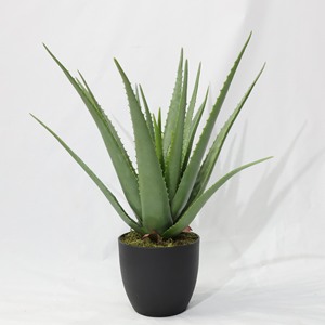 Plantas Artificiales <span class=keywords><strong>de</strong></span> Aloe <span class=keywords><strong>Vera</strong></span> al por Mayor, Plantas Suculentas en Maceta para Decoración <span class=keywords><strong>de</strong></span> Interiores - Product Image 2