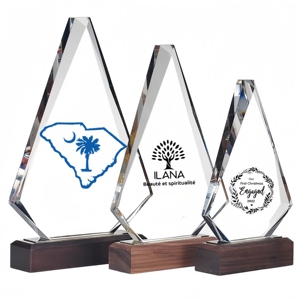 Trofei creativi personalizzati di combinazione di legno e cristallo conferenza annuale premi eccezionali per dipendenti e docenti/personale - Product Image 1