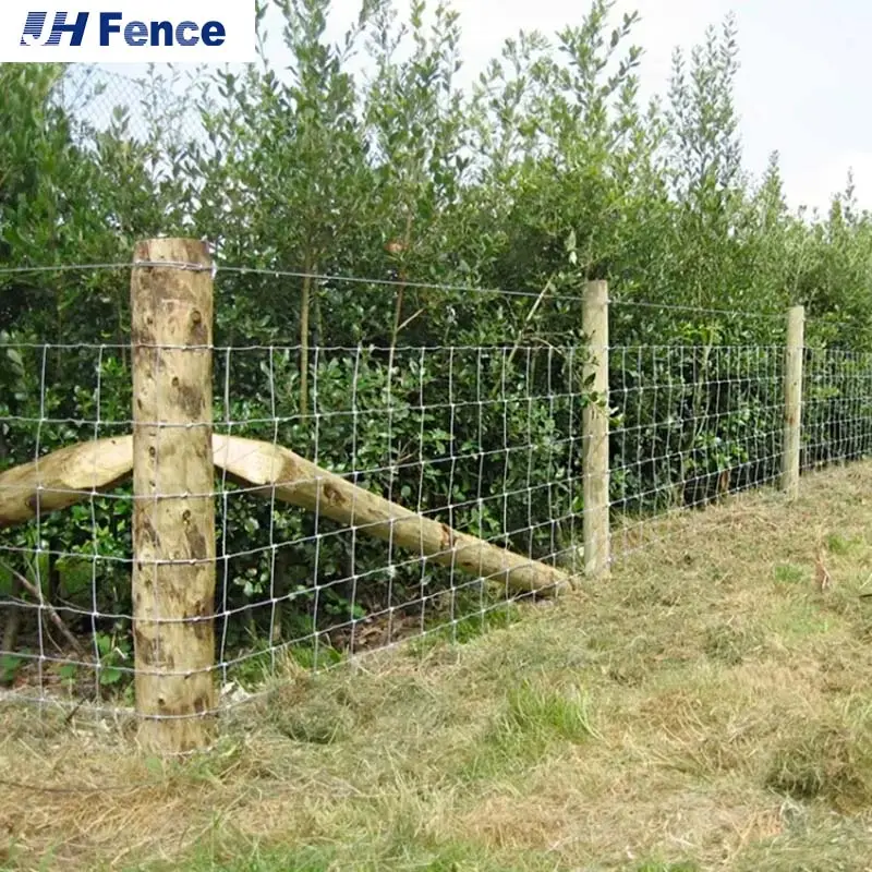 Cerca de seguridad de animales de Australia, malla de alambre de campo galvanizado para ovejas, ciervos, caballo, bisagra, forma conjunta, malla de alambre de granja