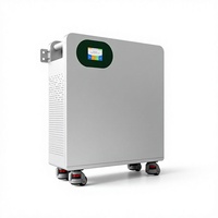 Batterie onduleur solaire divisée 51,2 V 16 kWh LiFePO4 pour stockage d'énergie domestique hybride et alimentation de secours