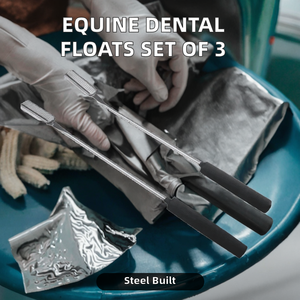Juego de Raspadores Dentales Equinos de Acero Inoxidable de Alta Calidad, Reutilizables, Grandes, 3 Piezas Rectas, Herramientas Veterinarias para Odontología Equina - Product Image 2