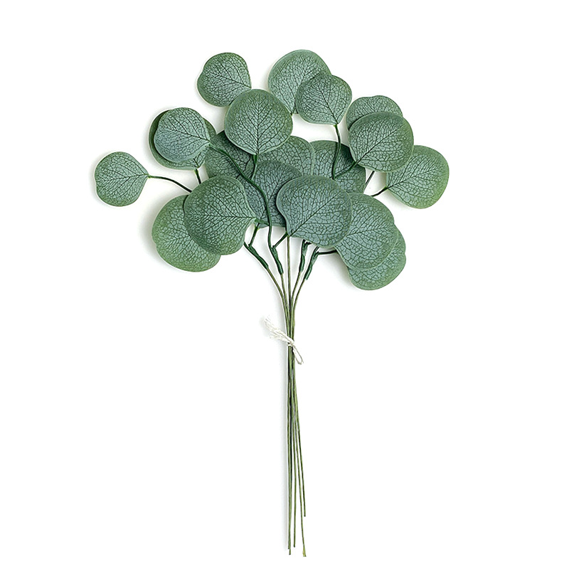 Feuille de pommier eucalyptus vert - 10 le bouquet