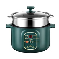Yolecen fabricant marmite électrique en acier inoxydable pour la cuisson de nouilles bouillie petits appareils ménagers pour bouillon de soupe
