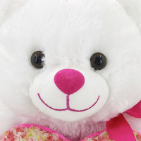 Pull ours en peluche peluche câlin coeur ours habillage poupée mignonne fête des mères cadeau poupée avec motif rose personnalisé