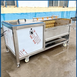 Hot Sale Fruit Cleaning Roller <b>Brush</b> Washer Machine with 304 Stainless Steel 220/380V Easy to Operate - Product Image 4