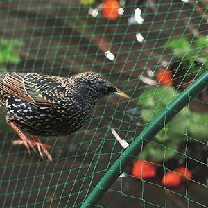 Cheap Bird Green Hdpe <strong>Netting</strong> for Garden Protect Vegetable Plants and <strong>Fruit</strong> Anti Bird Net - Product Image 2