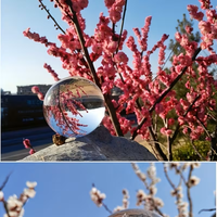 Boule de cristal de haute qualité pour la photographie, sphère en cristal K9, cadeau artisanal décoratif avec base en option