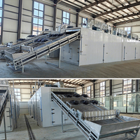 Fabrieksmatige continue mesh-belt fruit- en groentedroger op gas/biomassa, transportbanddroogmachine voor de verwerking van uien en chilipepers.