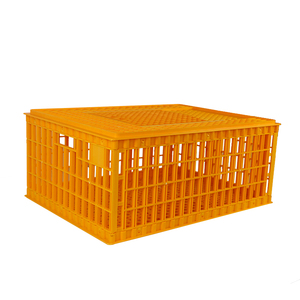Poultry Farming Chicken House Plastic Chicken Crate Transport Cage